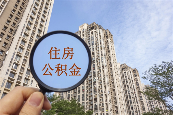 石家庄离职多久可以取住房公积金（离职多久后能取公积金）